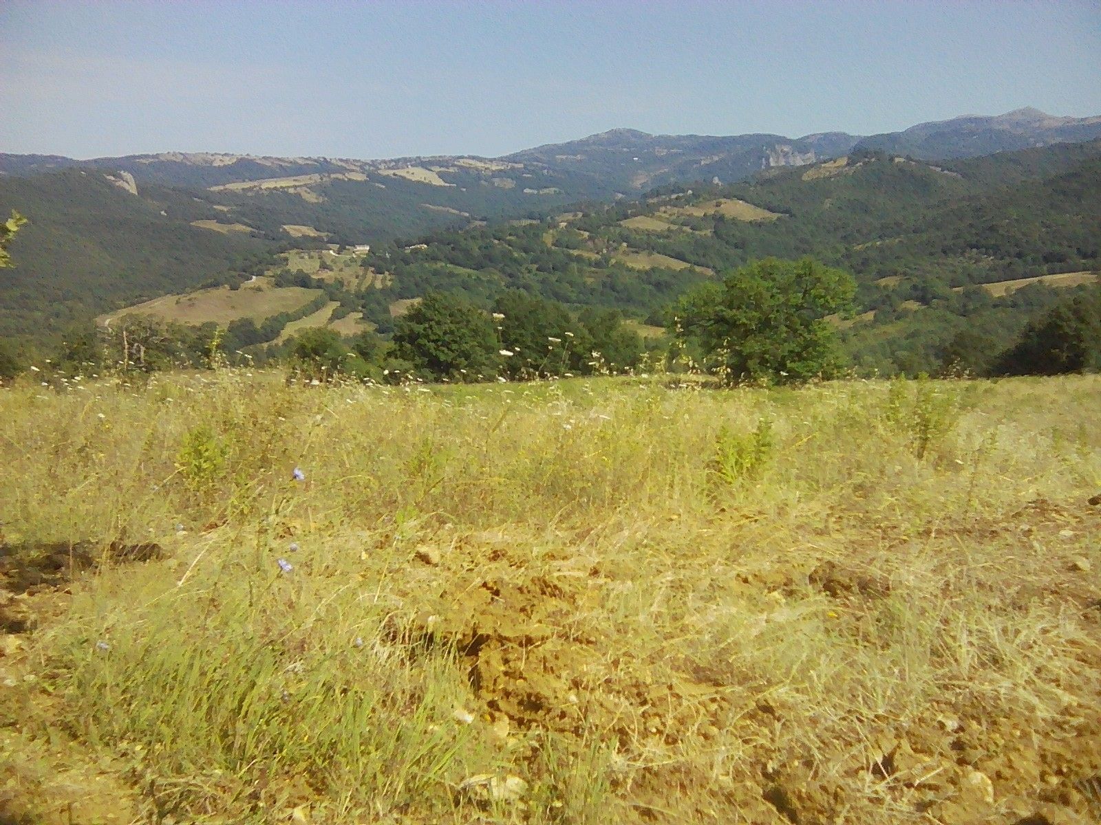 Terreno Agricolo Semproniano 