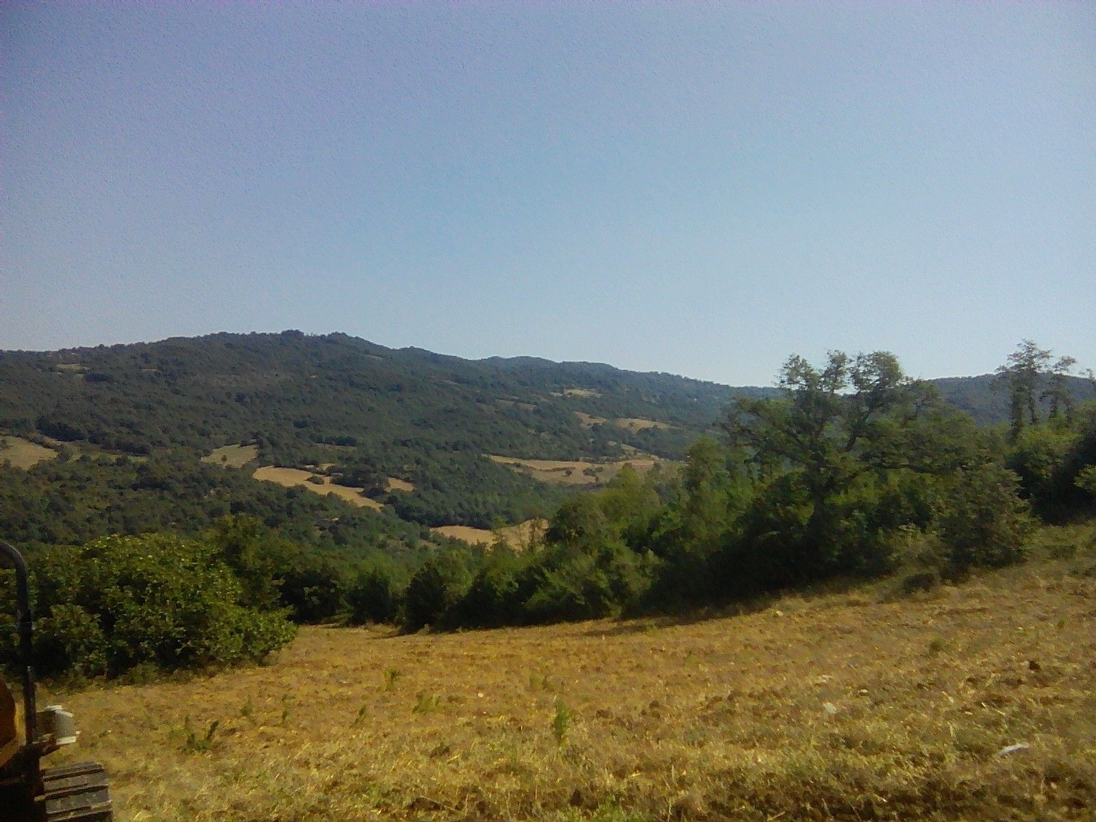 Terreno Agricolo Semproniano 