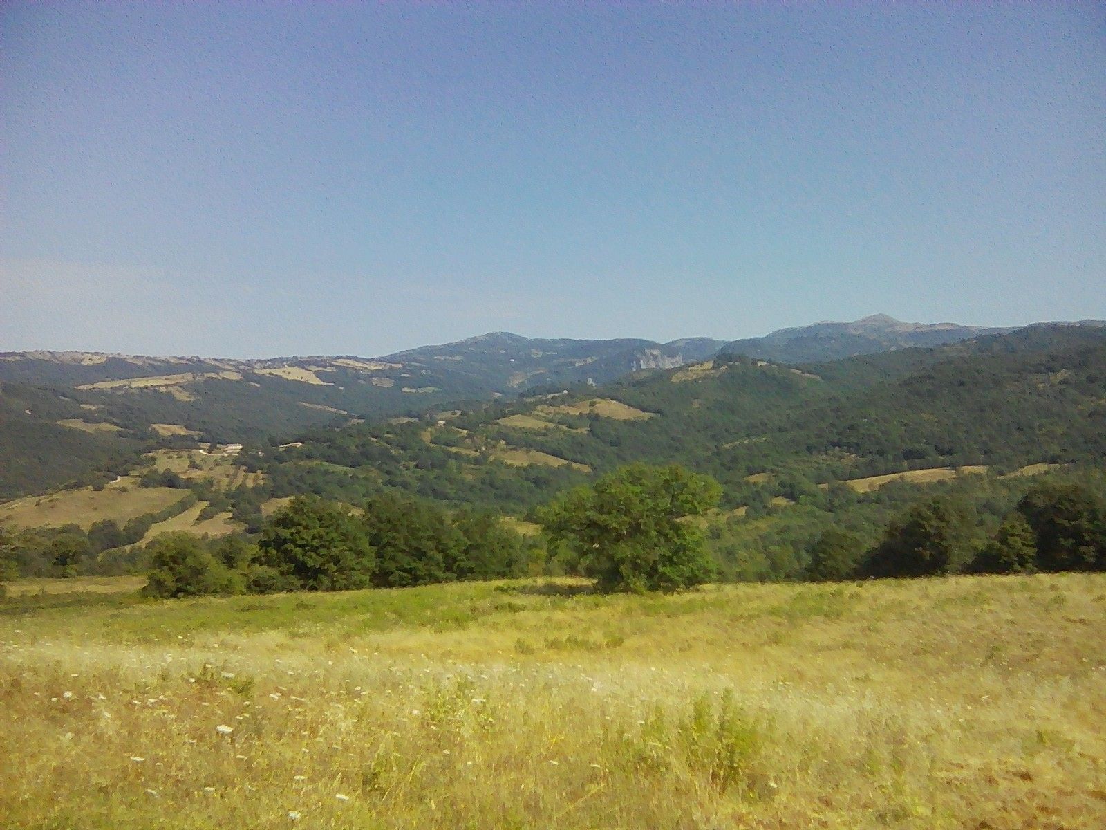 Terreno Agricolo Semproniano 