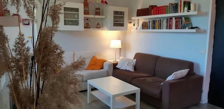 Appartamento in Affitto Challand-Saint-Anselme