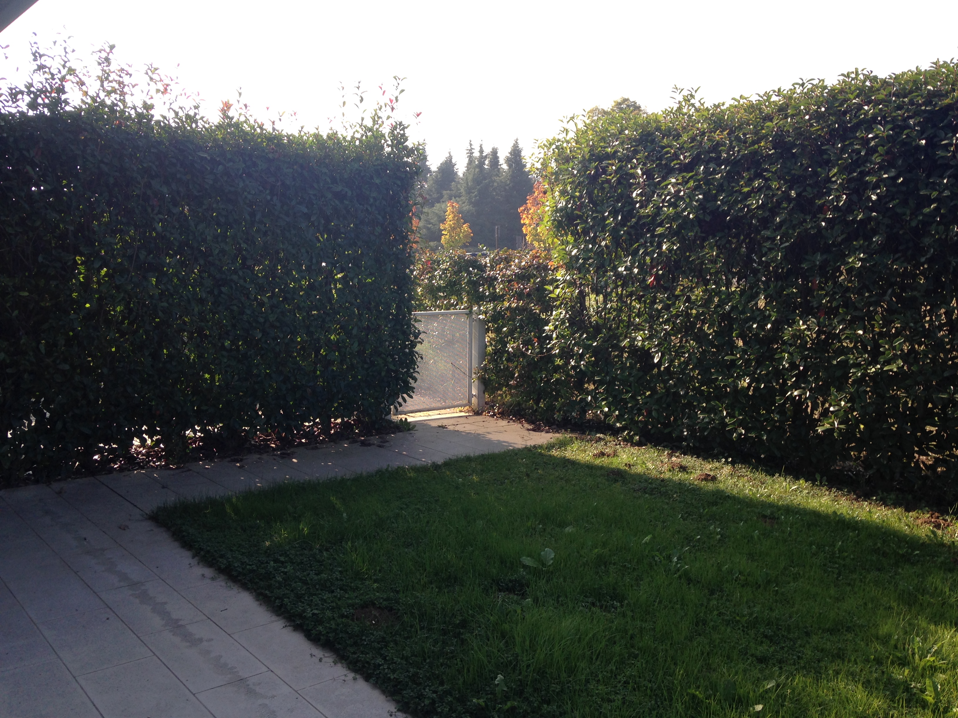 Villa a schiera Caldogno 