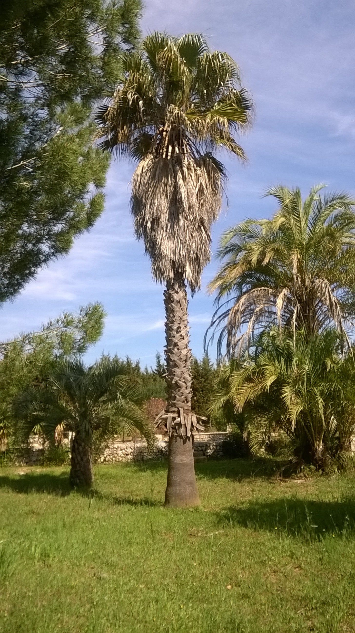 Vendita Terreno edificabile 