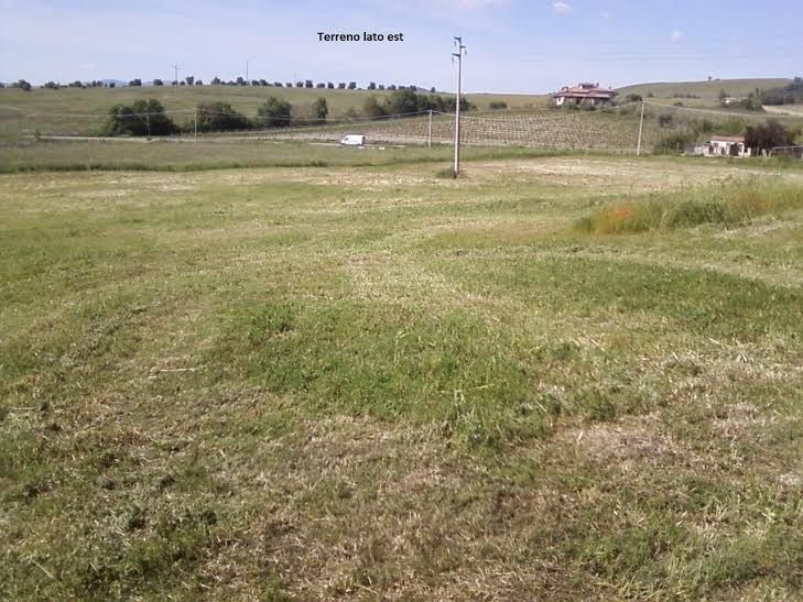 Vendita Terreno edificabile Manciano