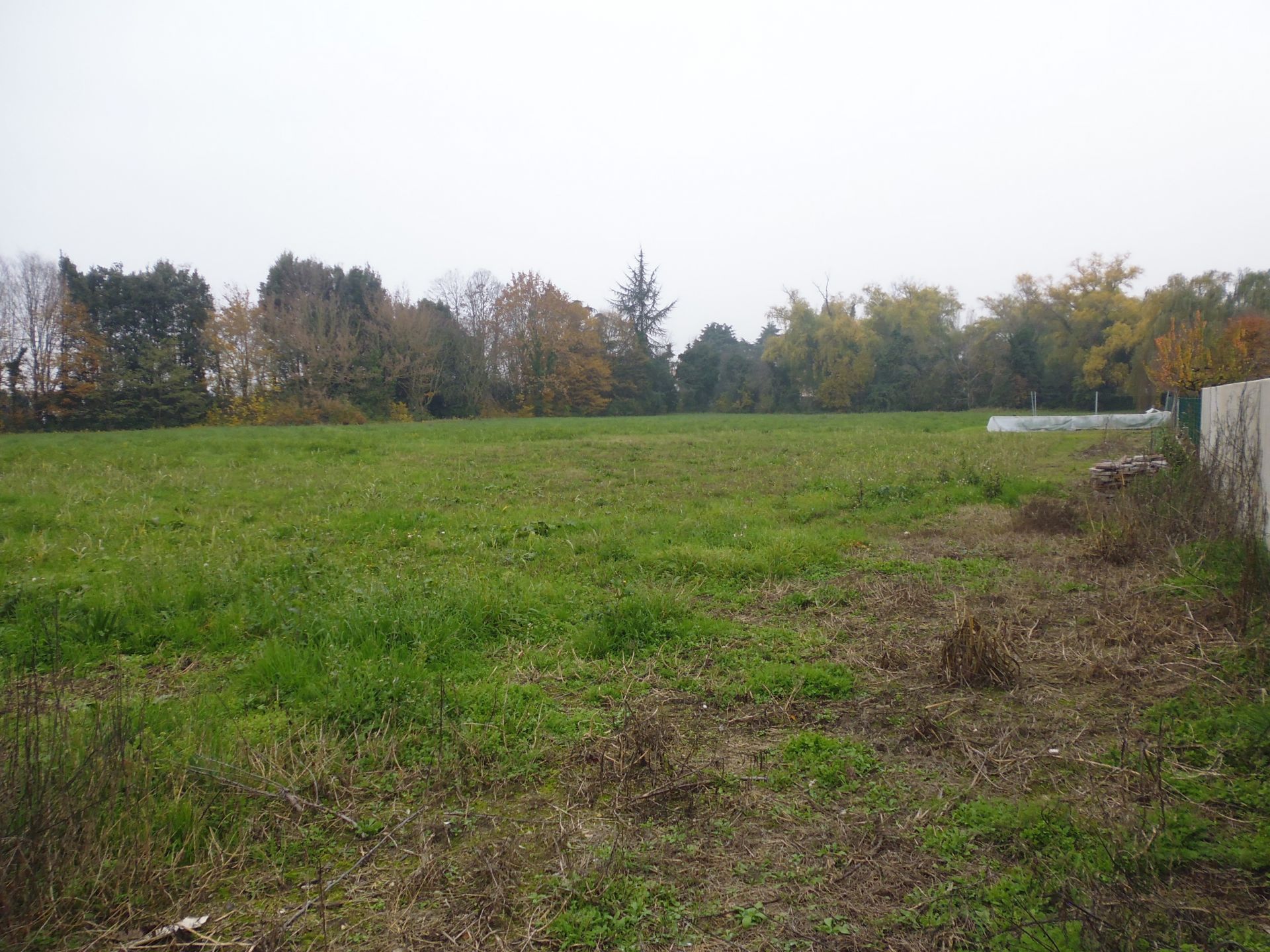 Vendita Terreno edificabile Monselice