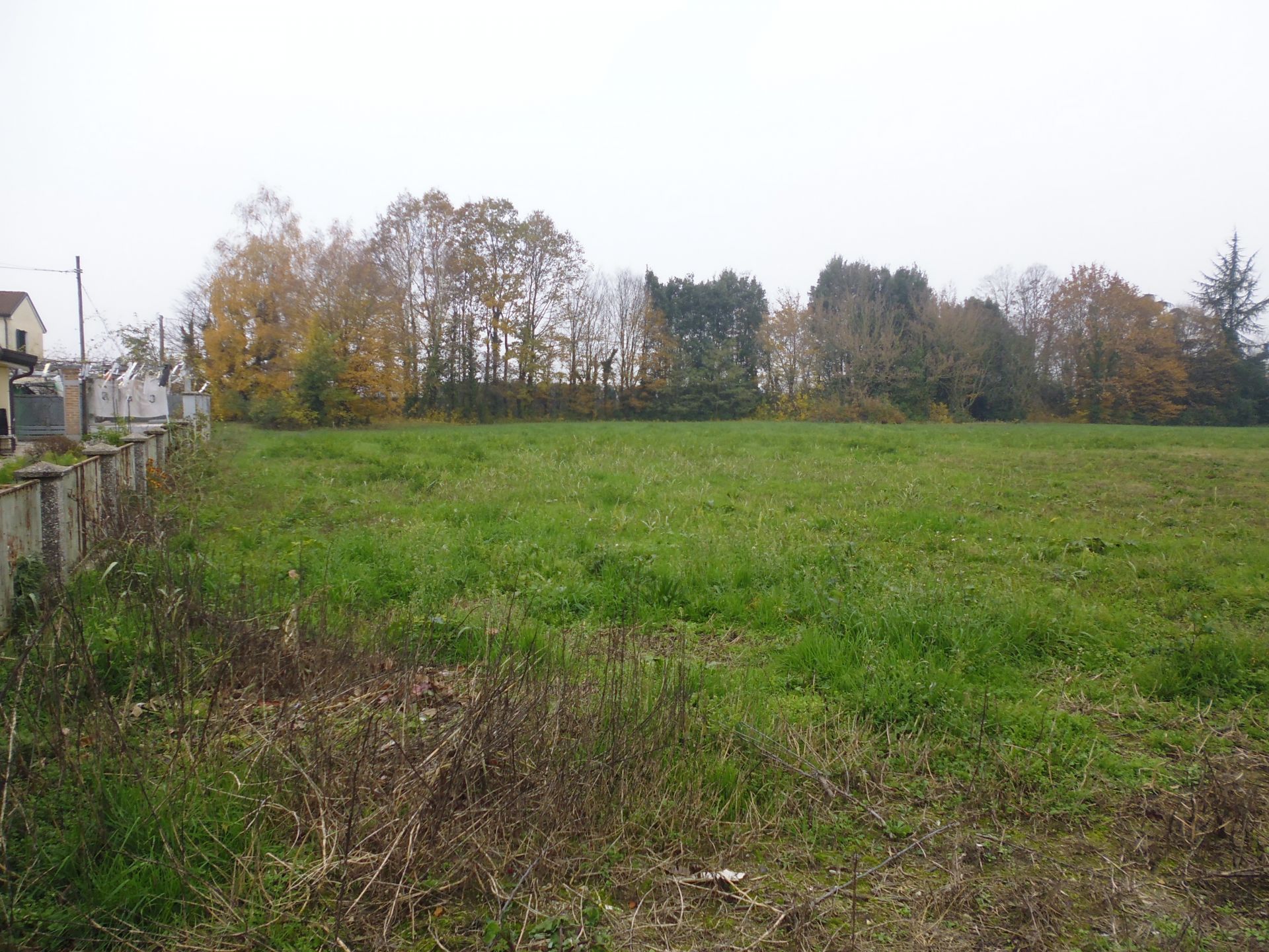 Vendita Terreno edificabile Monselice