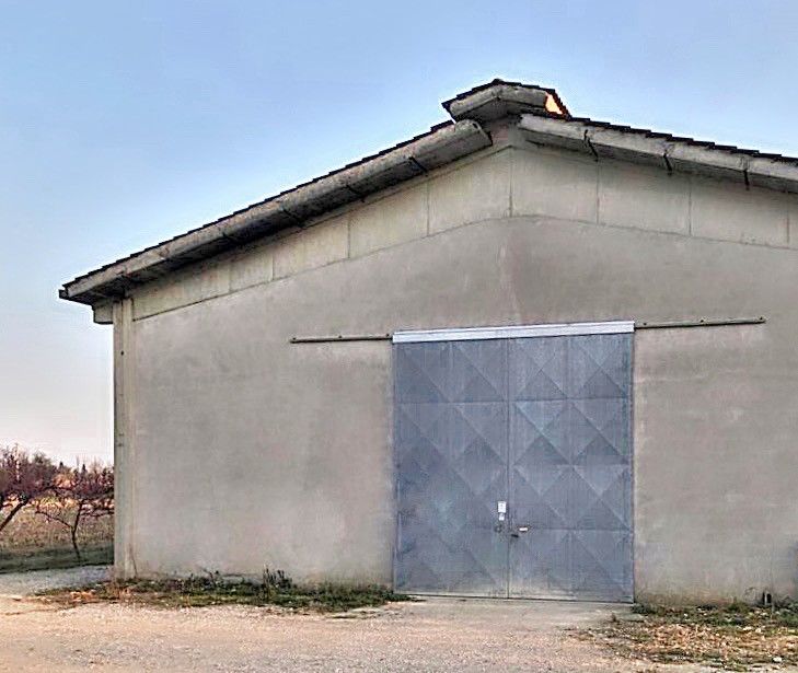 Vendita Terreno Agricolo Sona