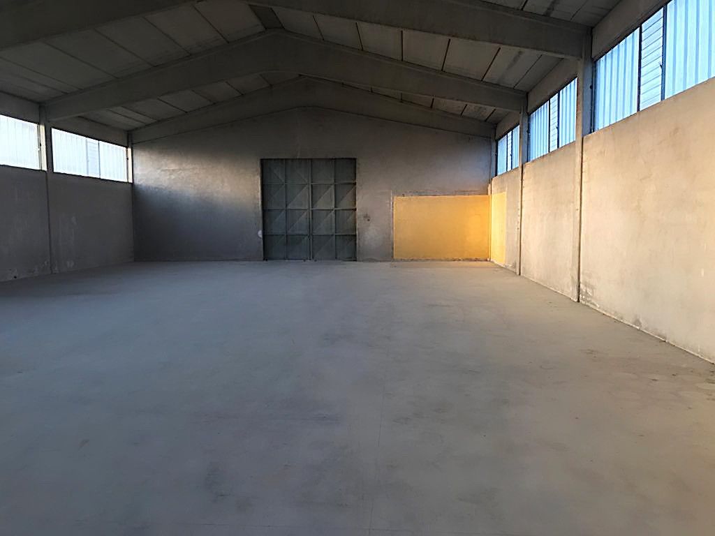 Vendita Terreno Agricolo Sona