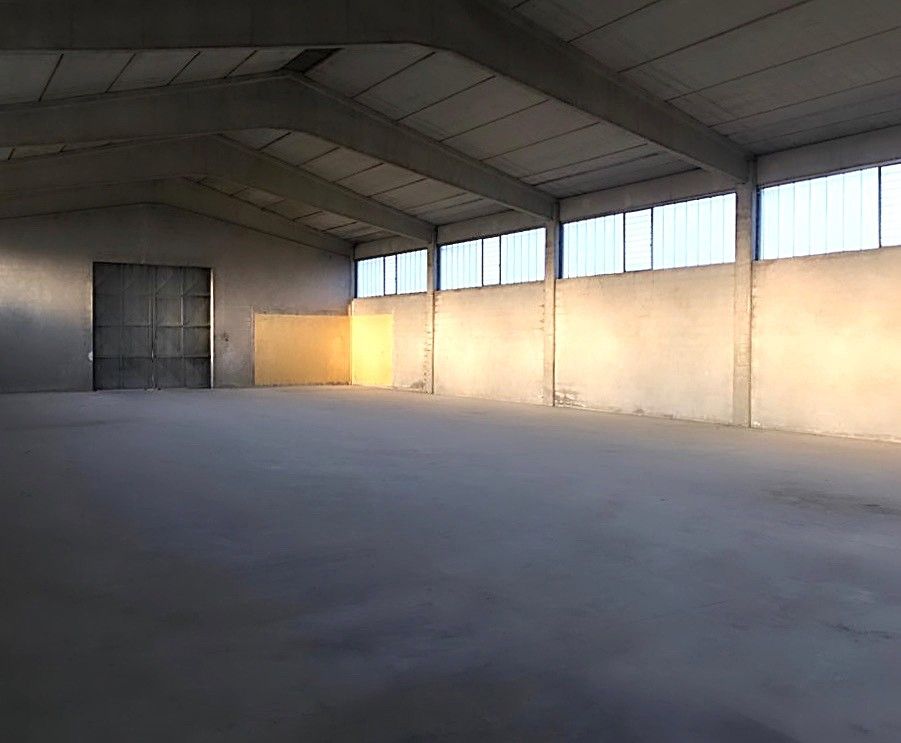 Vendita Terreno Agricolo Sona