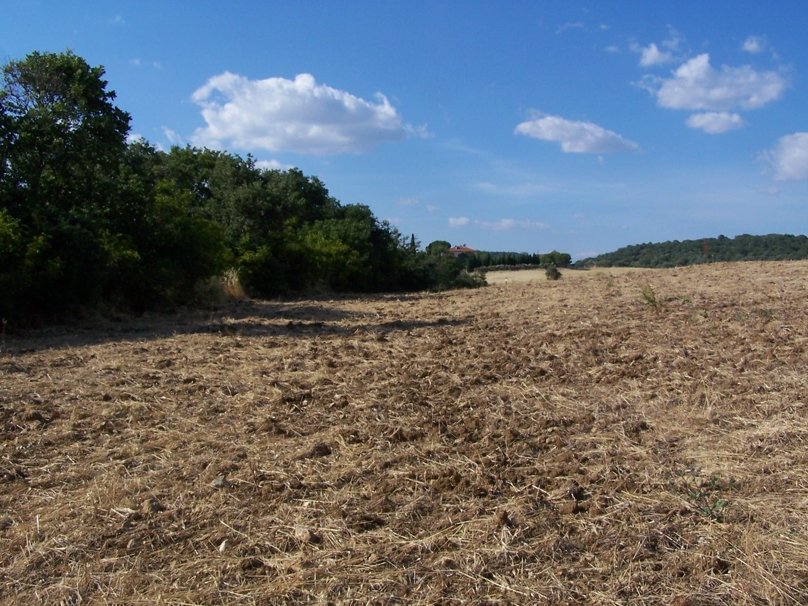 Terreno Agricolo Capalbio 