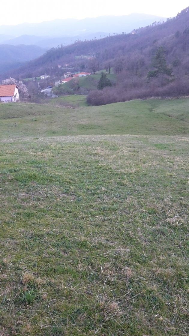 Vendita Terreno Agricolo Zignago