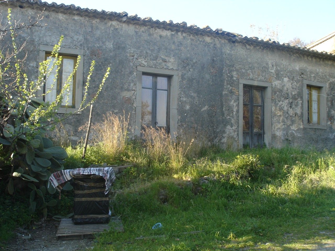 Vendita Terreno Agricolo Motta Camastra