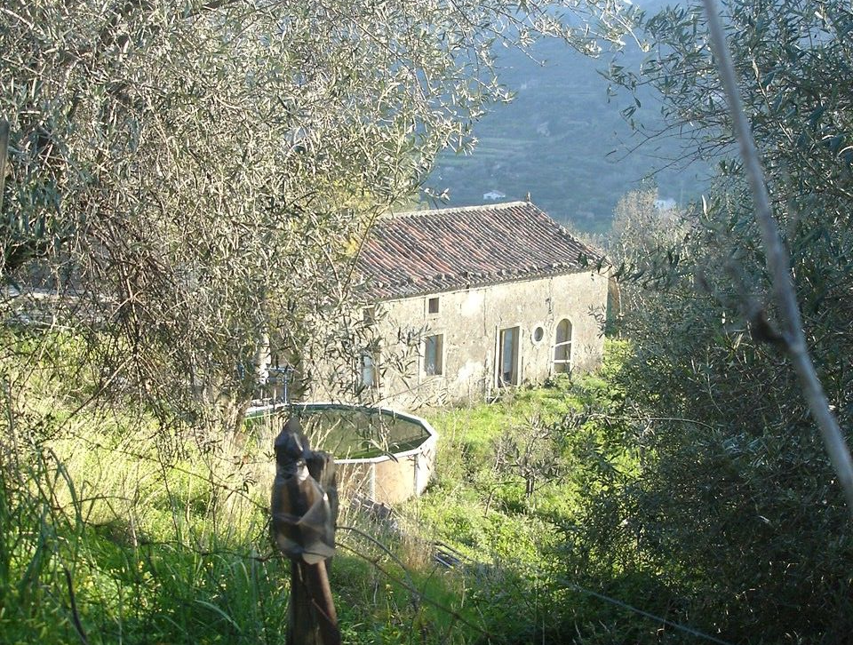 Terreno Agricolo in Vendita Motta Camastra