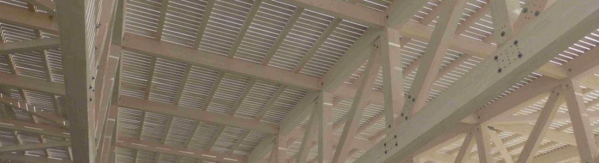 Tetti in Legno in legno BCL Bergamasca Costruzioni Legno Tetto legno lamellare  Edificio Industriale 