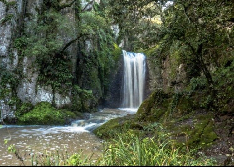 Vendita Terreno edificabile Sedini