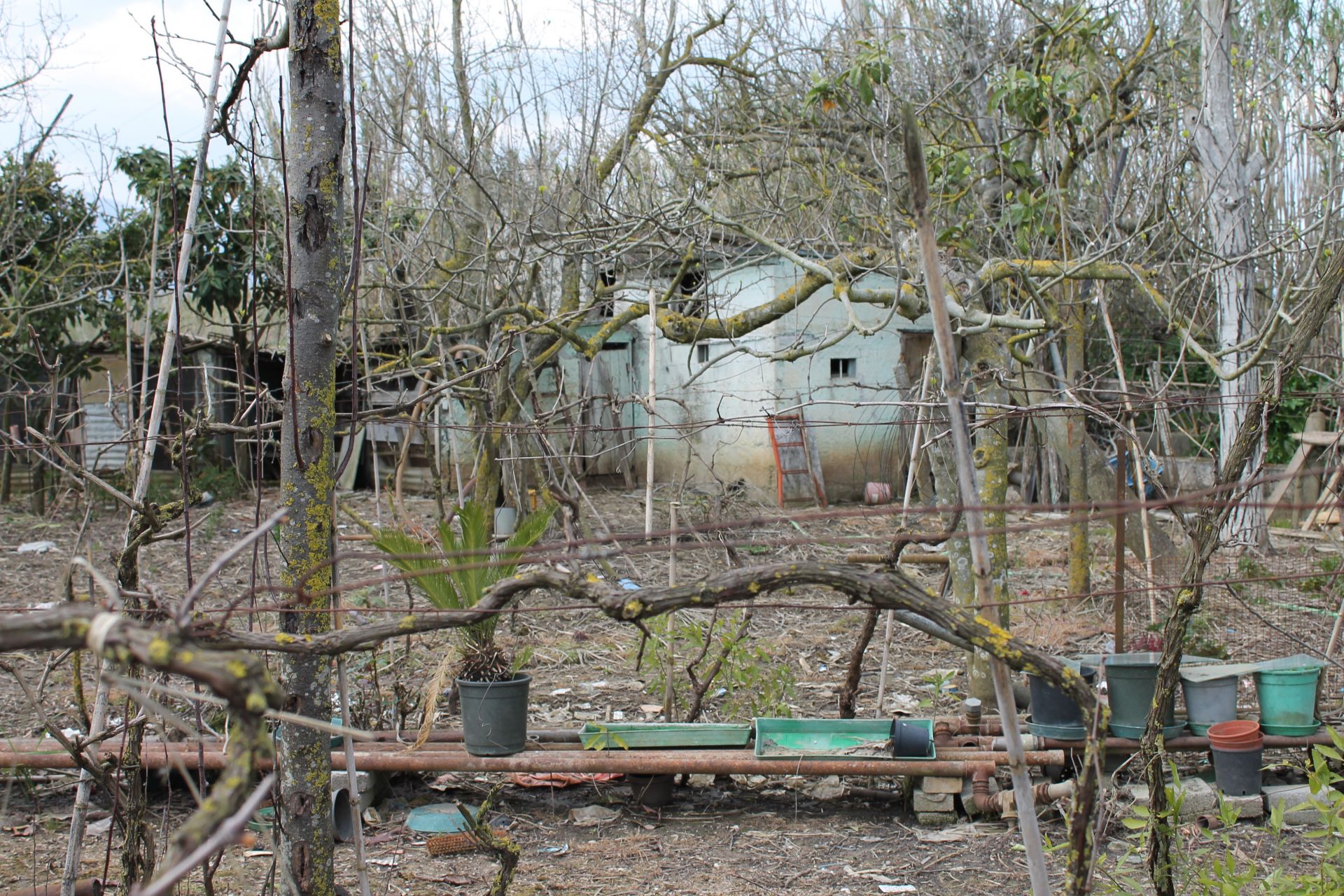 Vendita Terreno Agricolo Sessa Aurunca
