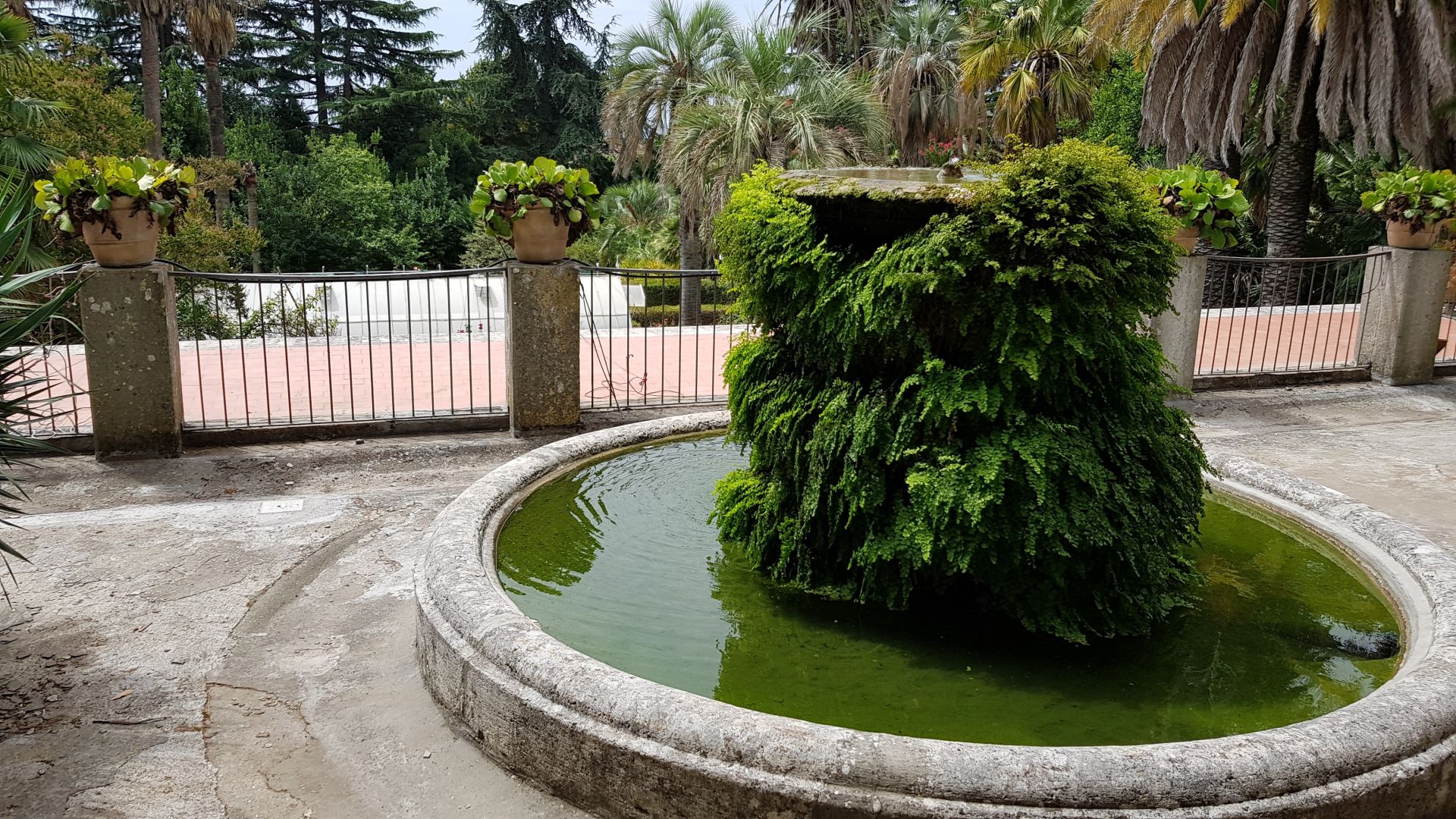 Vendita Terreno Agricolo Albano Laziale