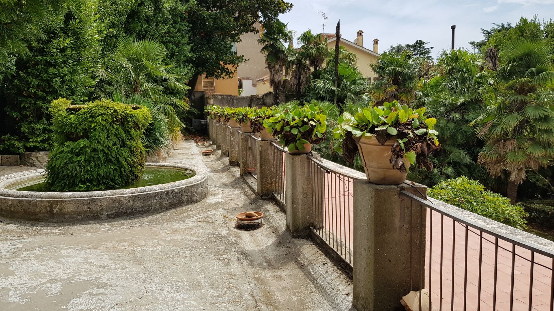 Terreno Agricolo in Vendita Albano Laziale