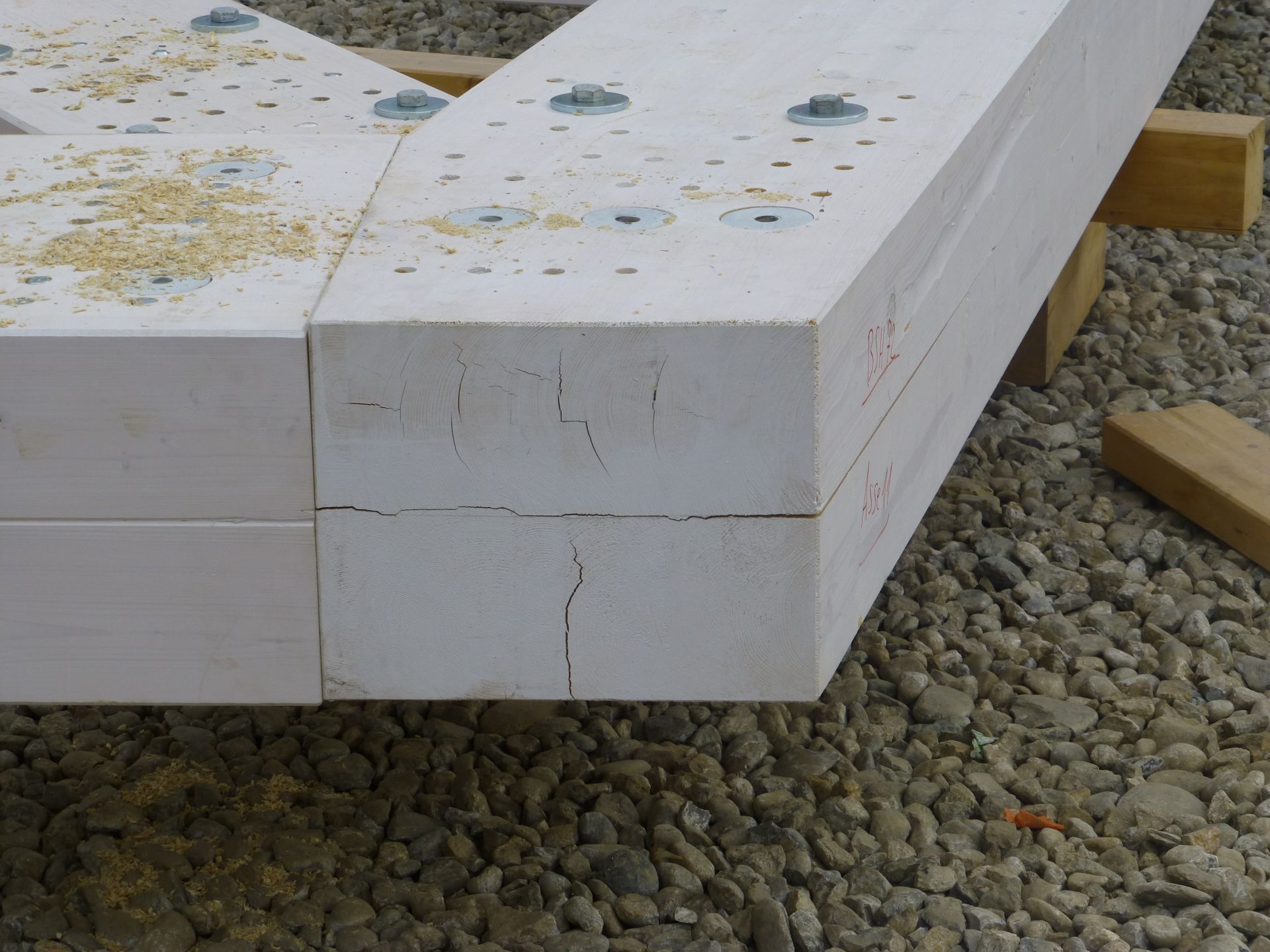 Tetti in Legno in legno BCL Struttura industriale in Legno Lamellare