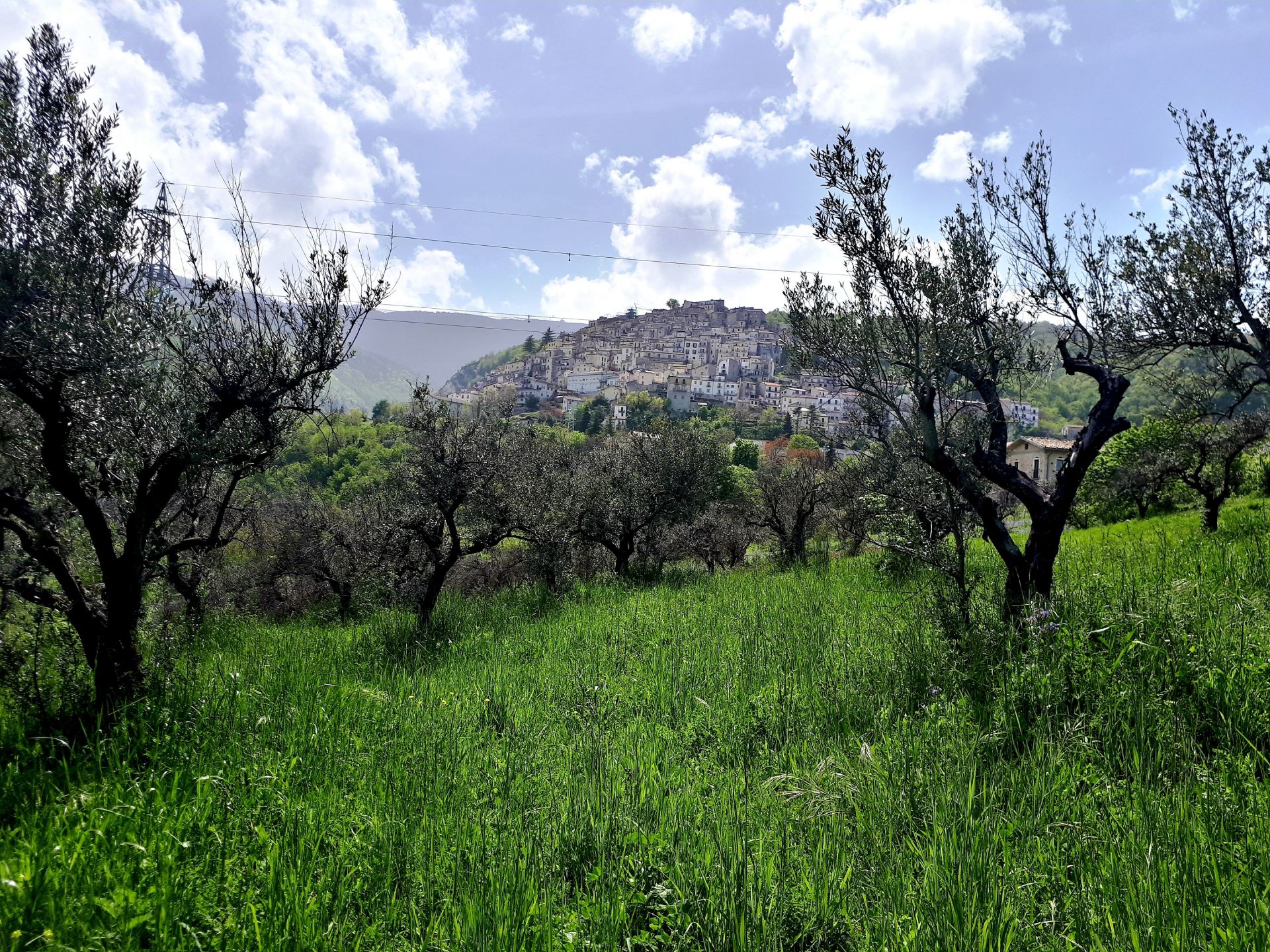 Vendita Terreno edificabile Pretoro