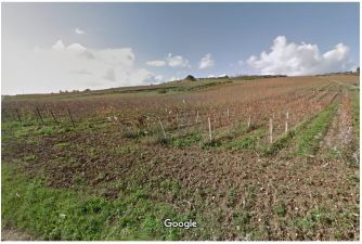 Vendita Terreno edificabile Menfi