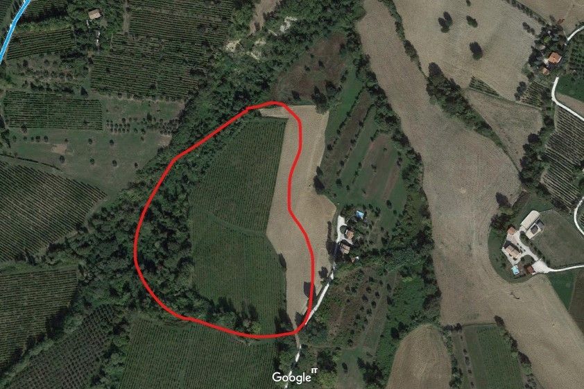 Vendita Terreno Agricolo Cupramontana