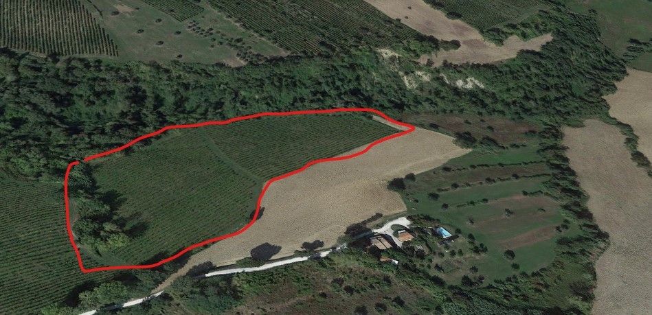 Terreno Agricolo in Vendita Cupramontana