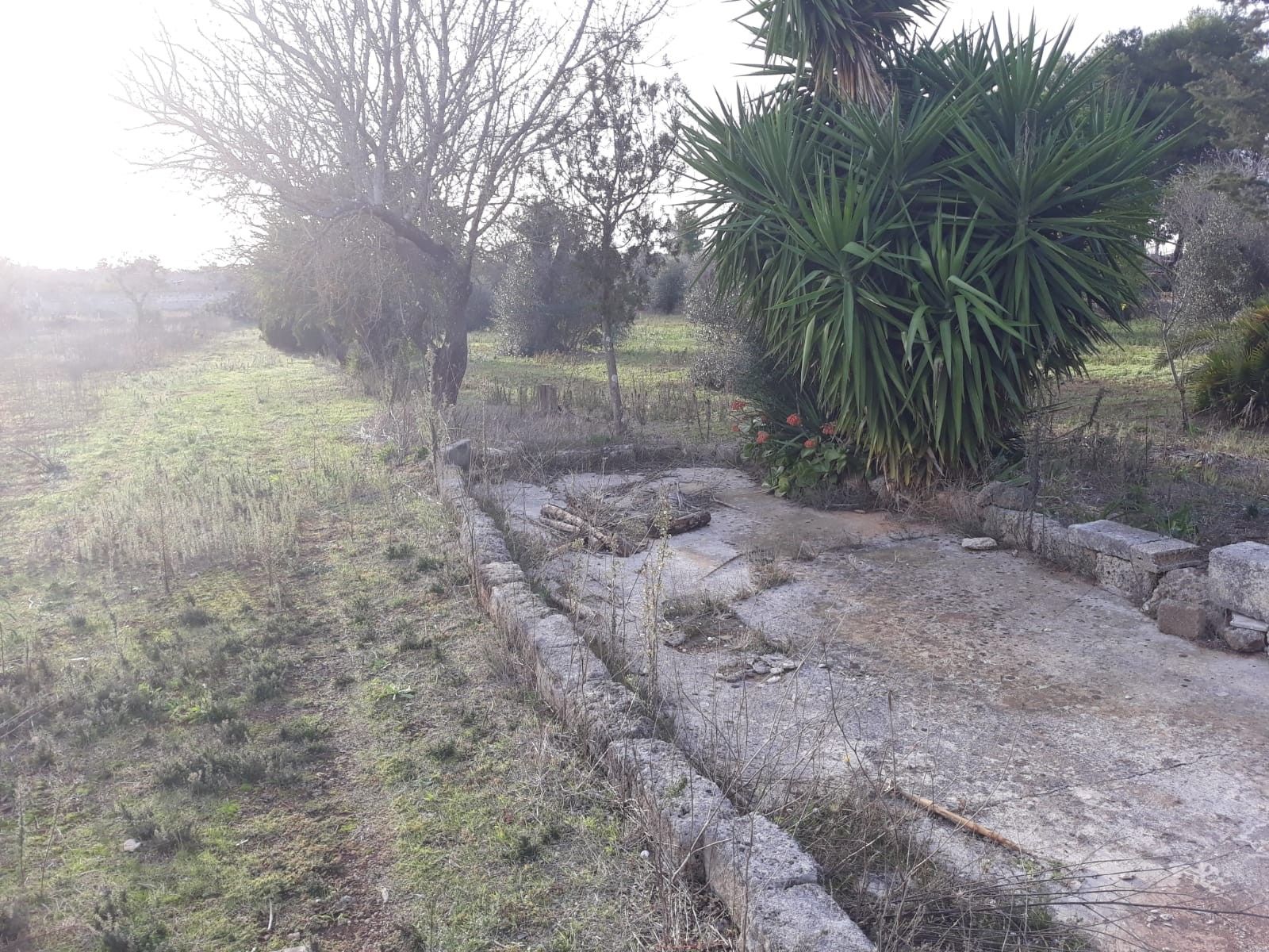 Terreno edificabile in Vendita Collepasso