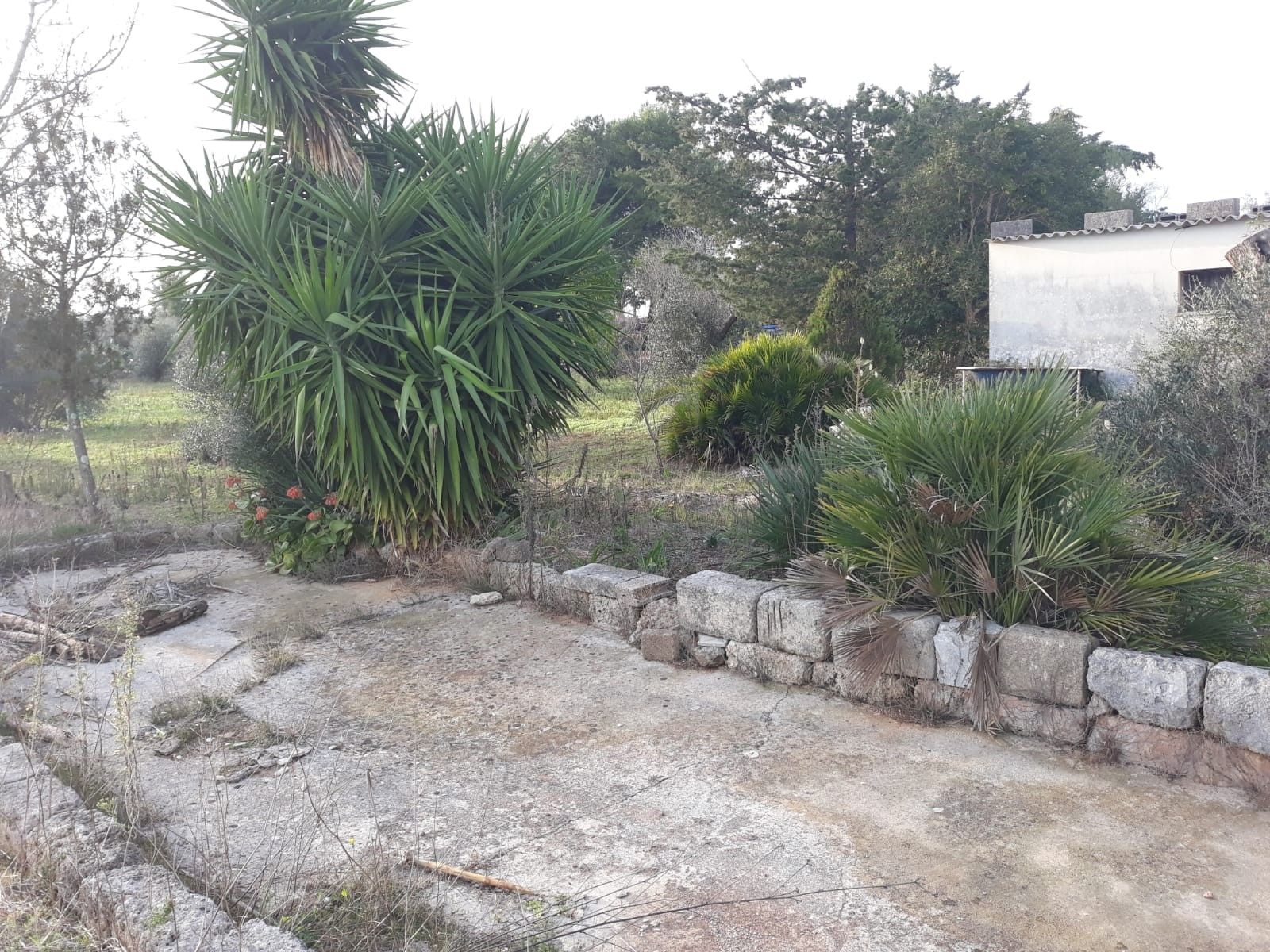 Vendita Terreno edificabile Collepasso