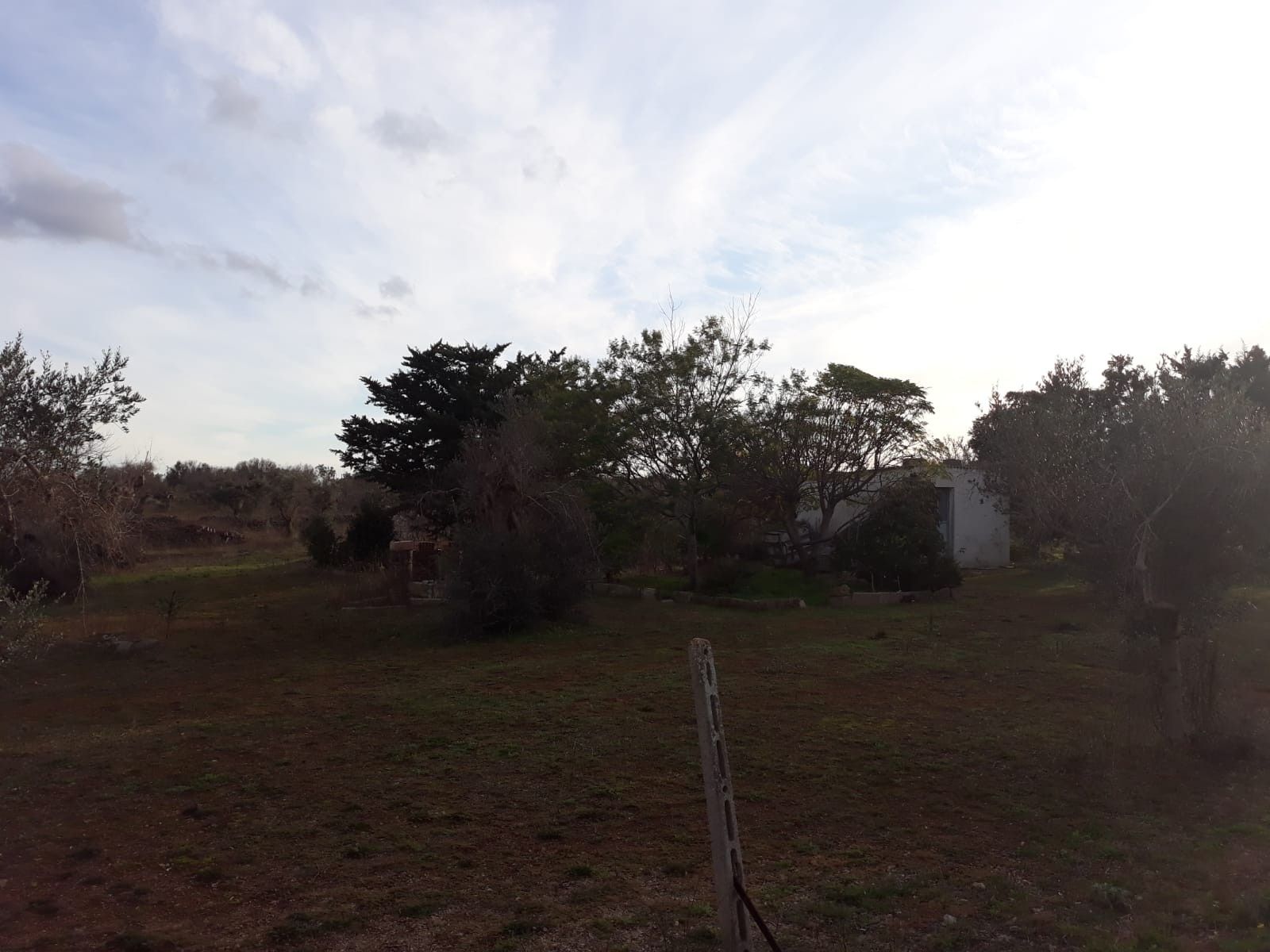 Vendita Terreno edificabile Collepasso