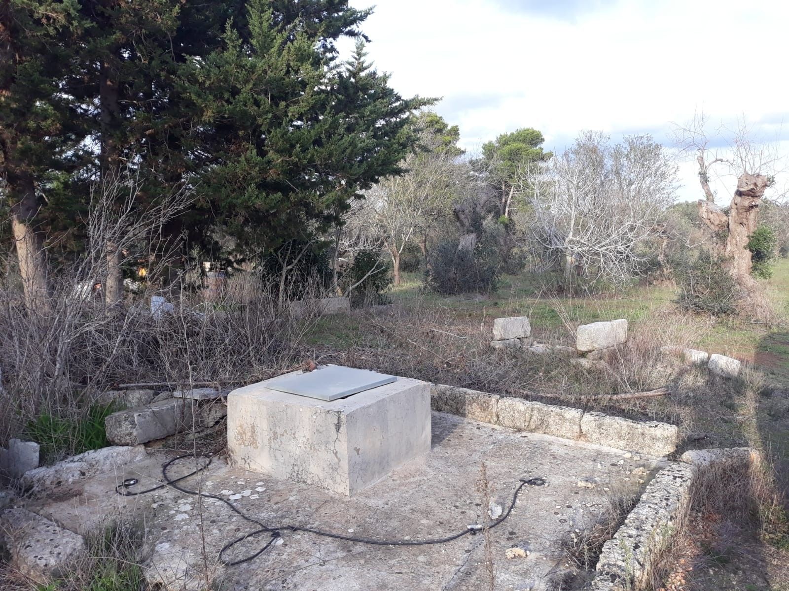 Vendita Terreno edificabile Collepasso