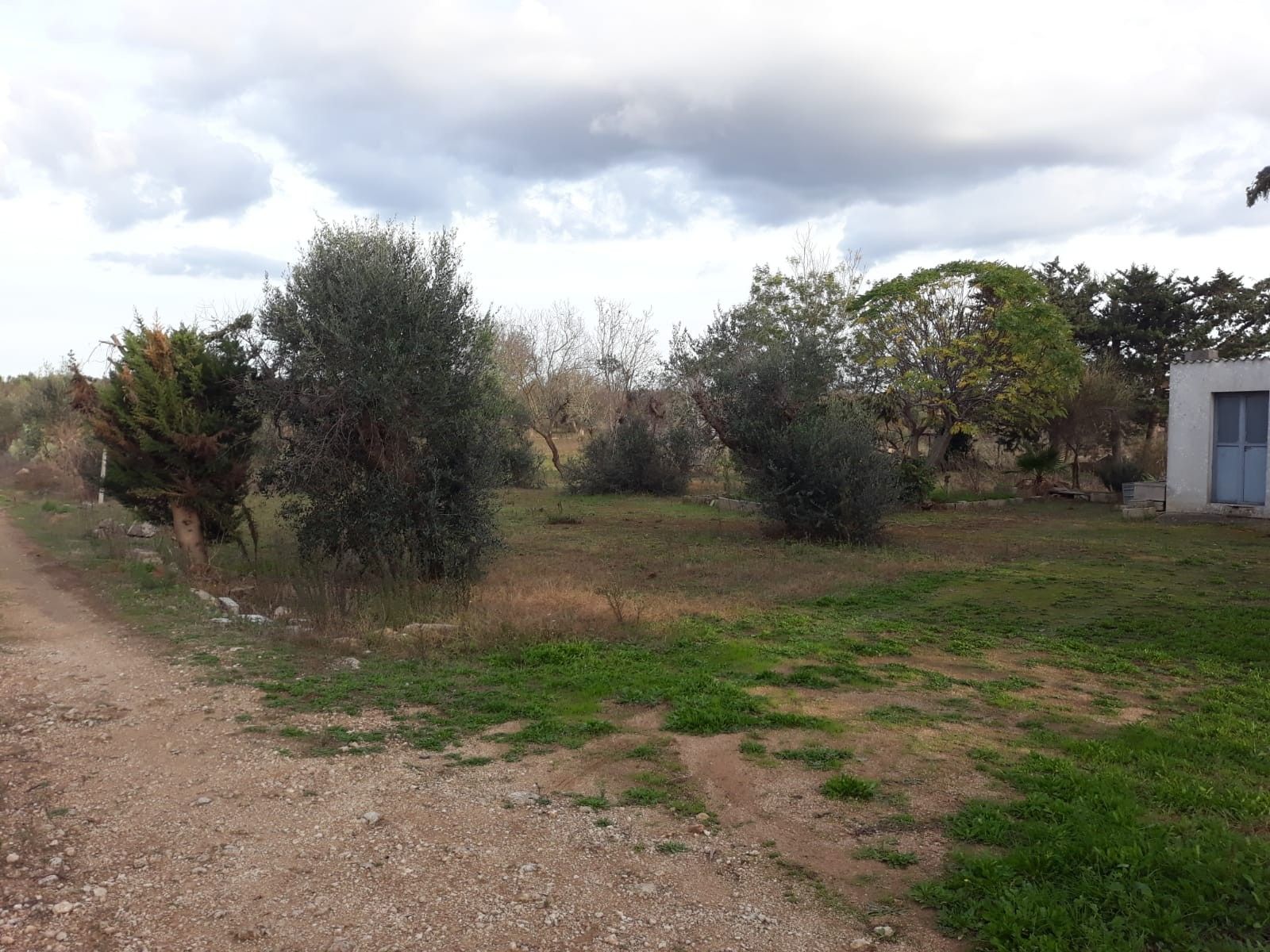 Vendita Terreno edificabile Collepasso