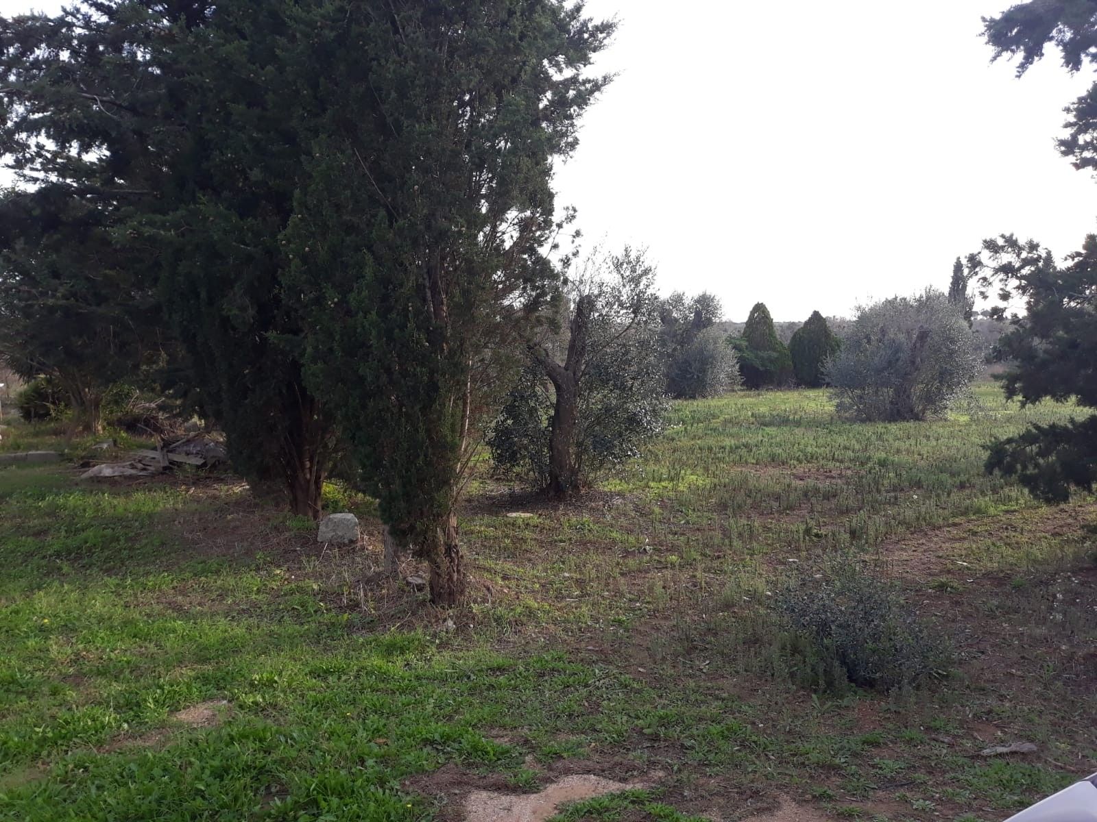 Vendita Terreno edificabile Collepasso