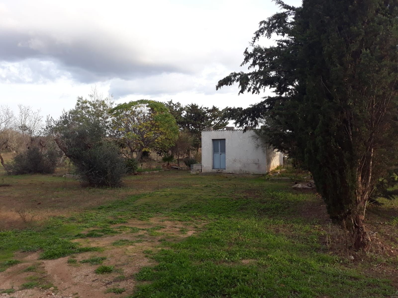 Vendita Terreno edificabile Collepasso