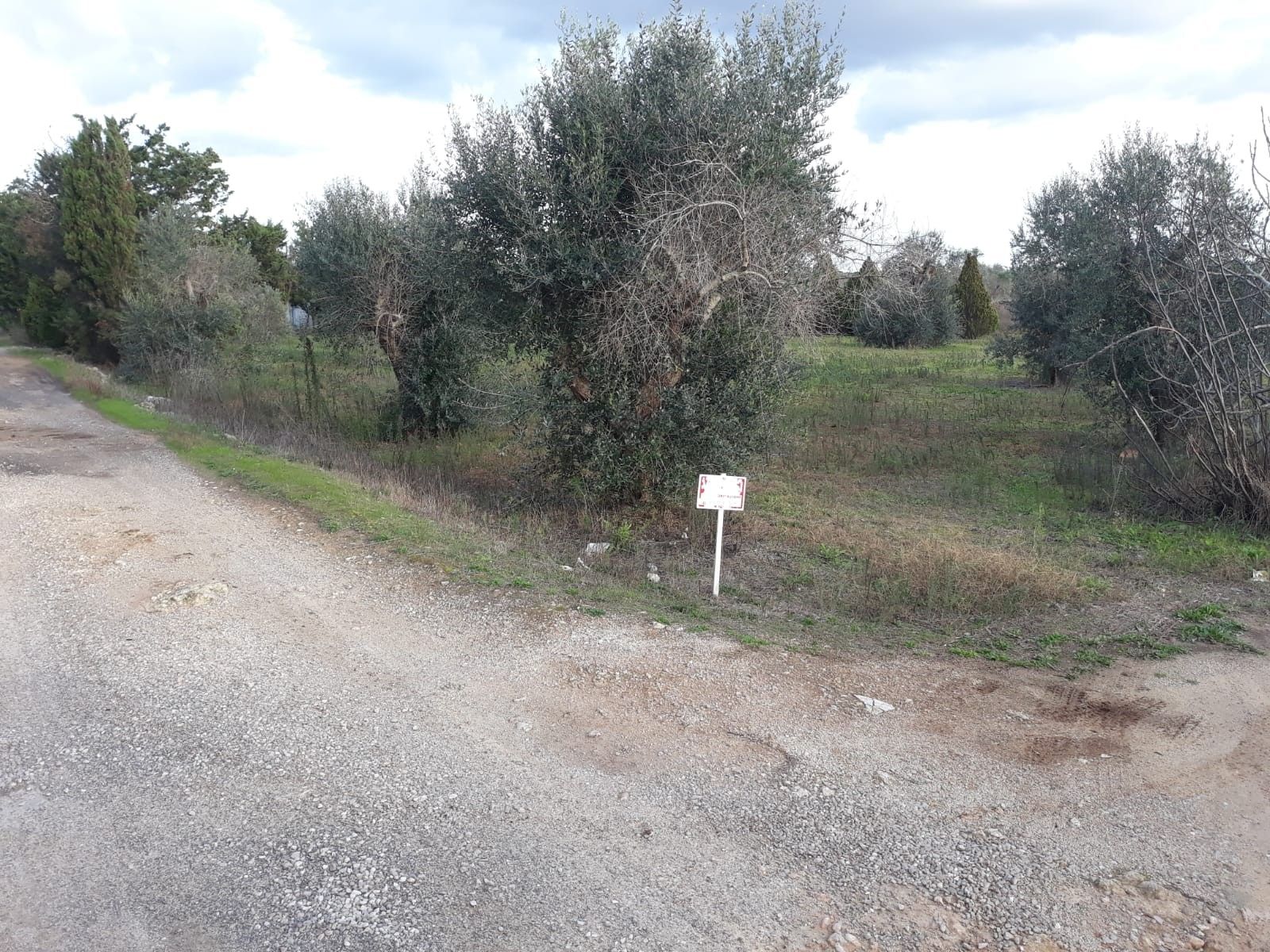 Vendita Terreno edificabile Collepasso