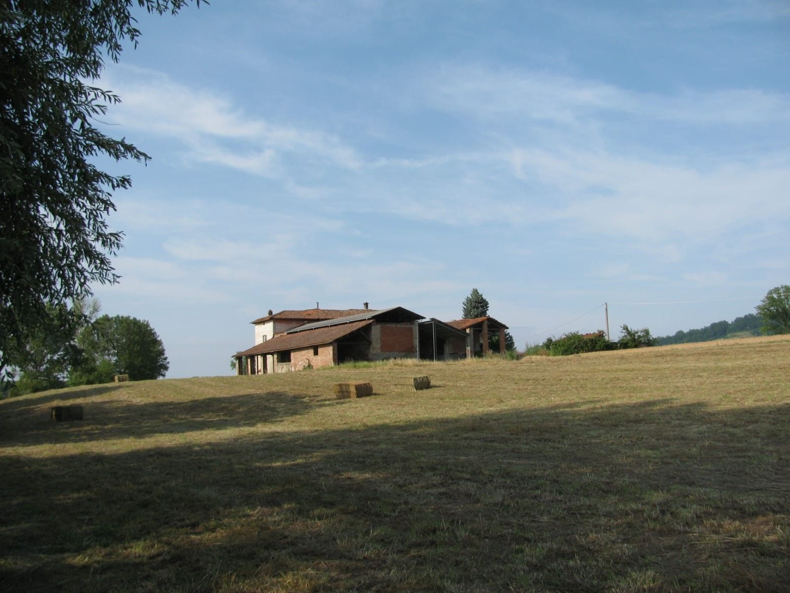 Terreno Agricolo in Vendita Strevi