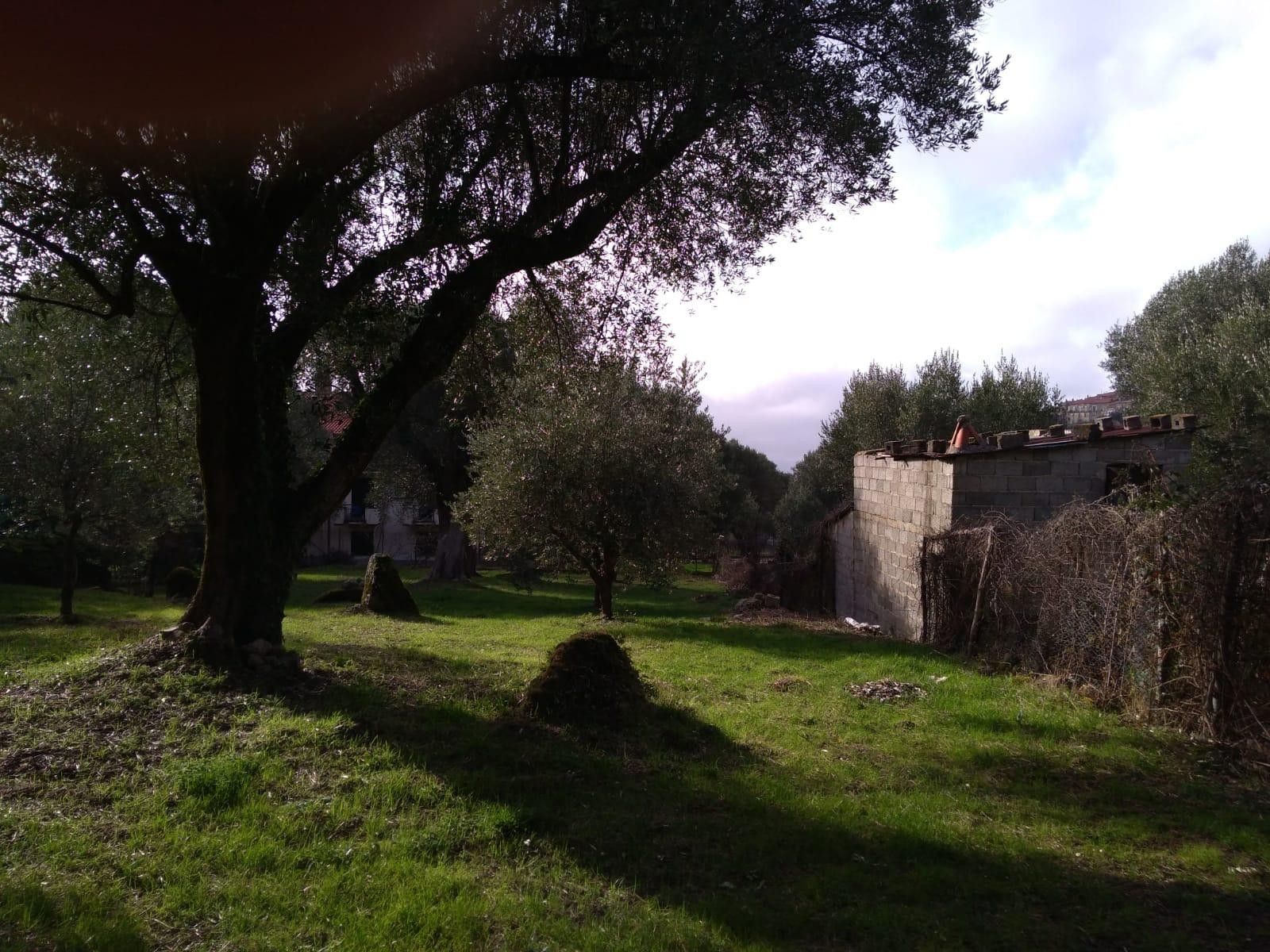 Terreno edificabile in Vendita Novi Velia