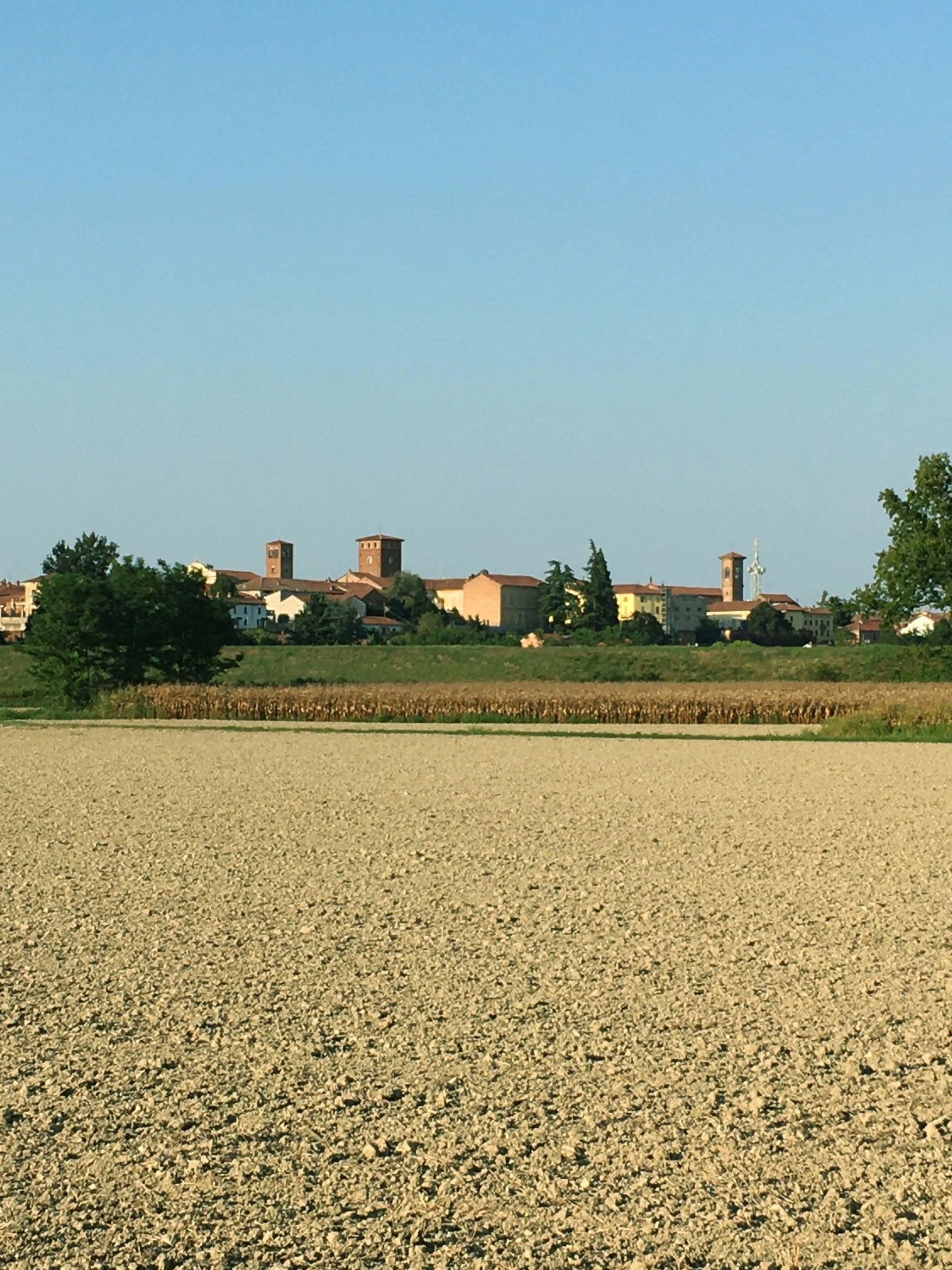 Terreno Agricolo in Vendita Felizzano