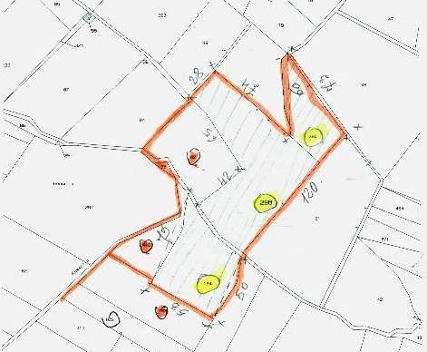 Vendita Terreno Agricolo Valderice