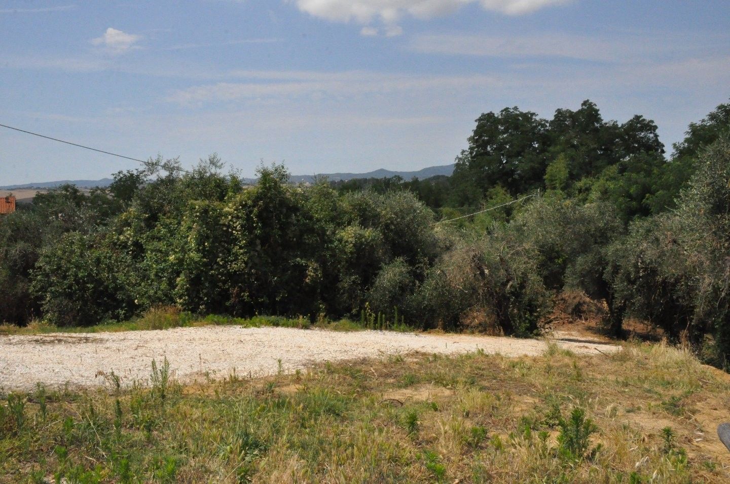 Vendita Terreno edificabile Lorenzana