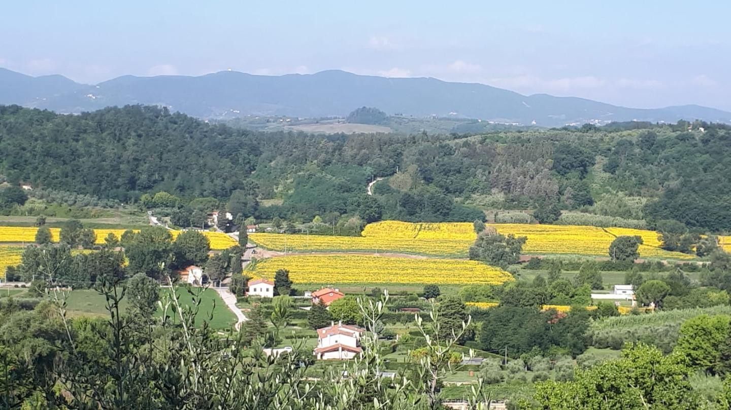 Vendita Terreno edificabile Fauglia
