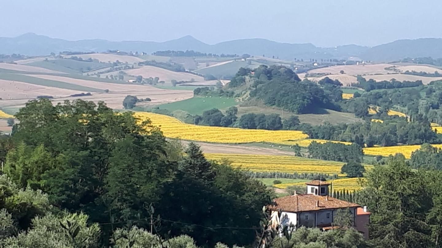 Vendita Terreno edificabile Fauglia