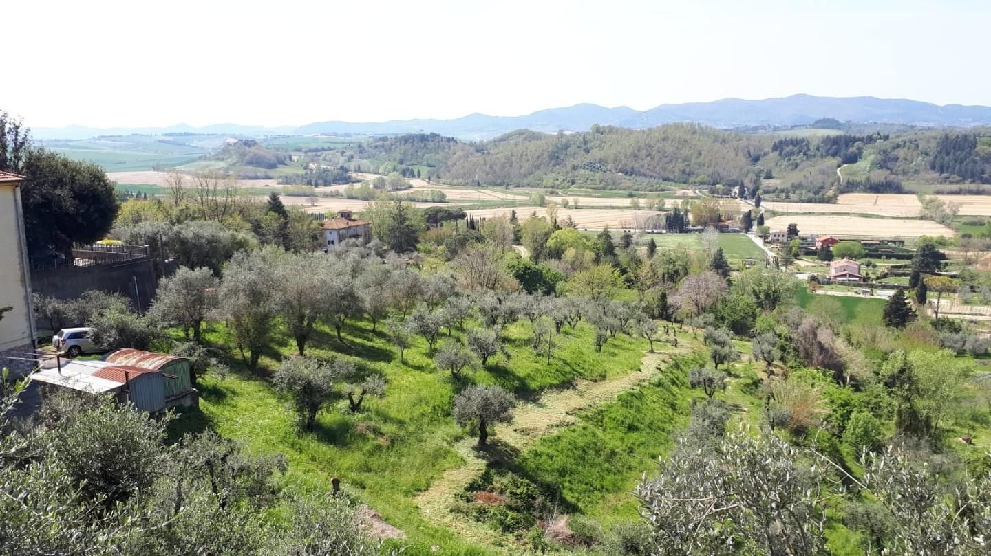 Vendita Terreno edificabile Fauglia