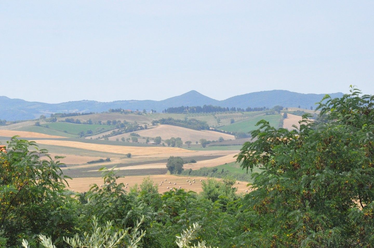 Vendita Terreno edificabile Fauglia