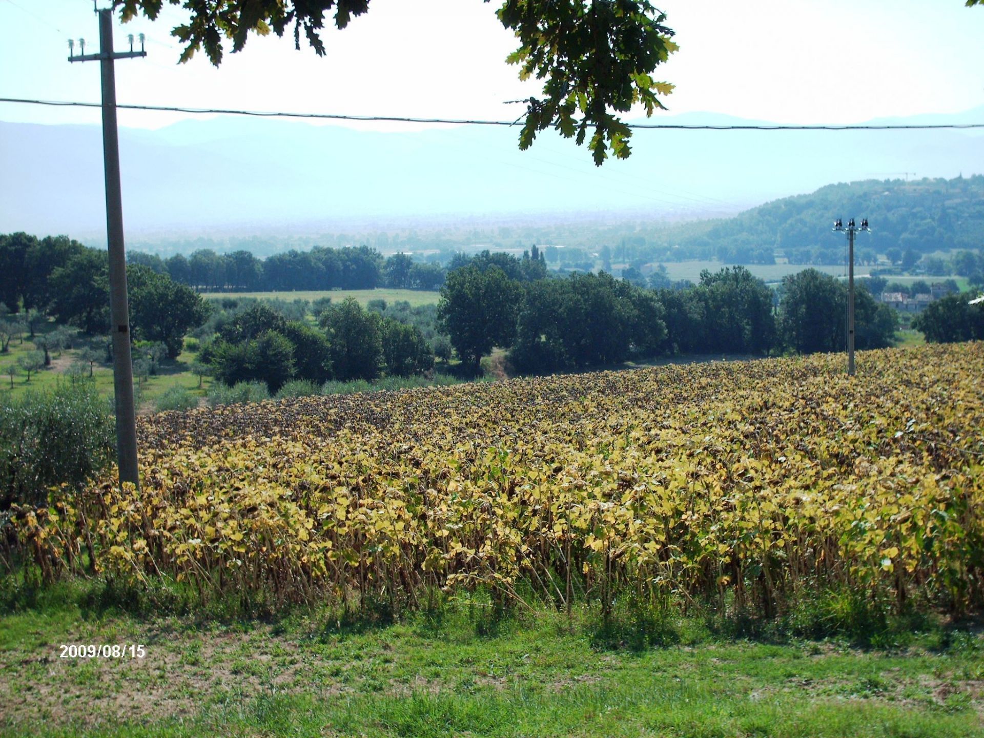 Vendita Terreno edificabile Castel Ritaldi