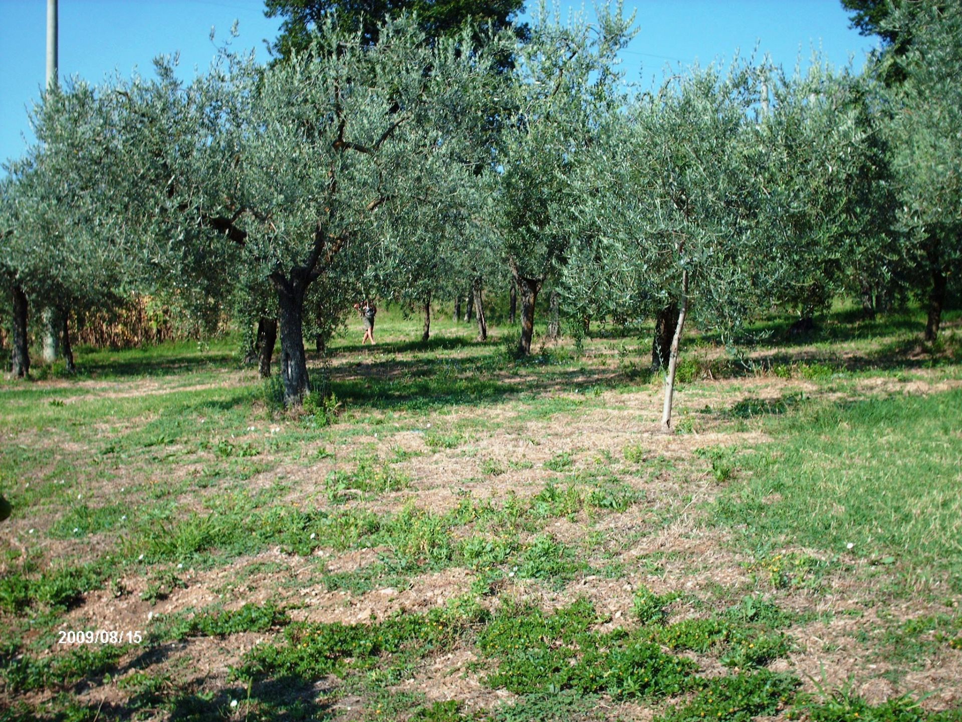 Vendita Terreno edificabile Castel Ritaldi