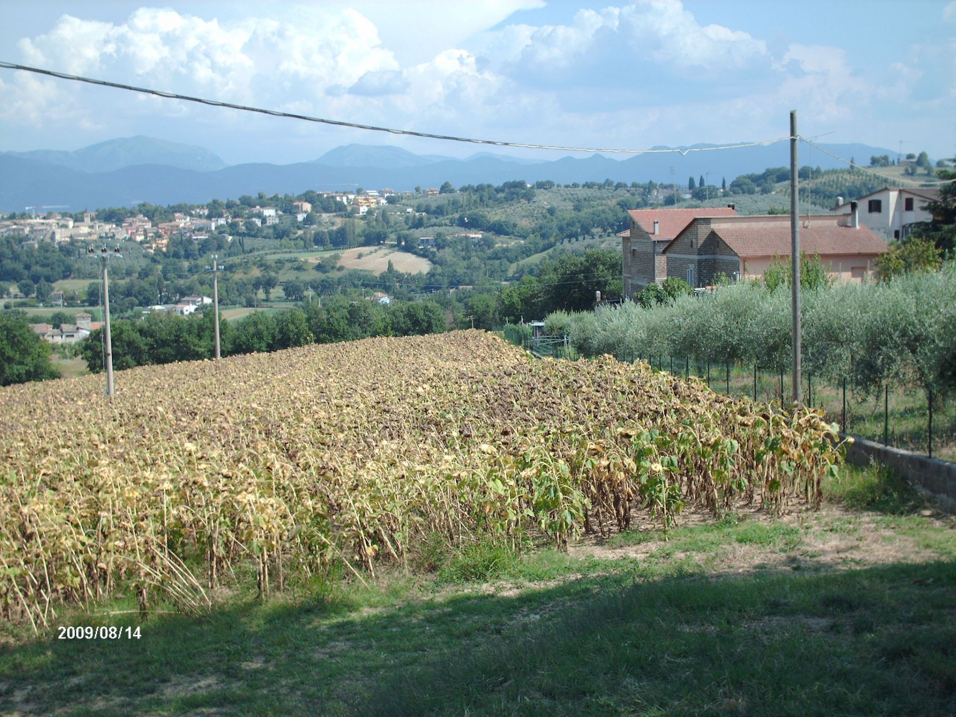 Vendita Terreno edificabile Castel Ritaldi