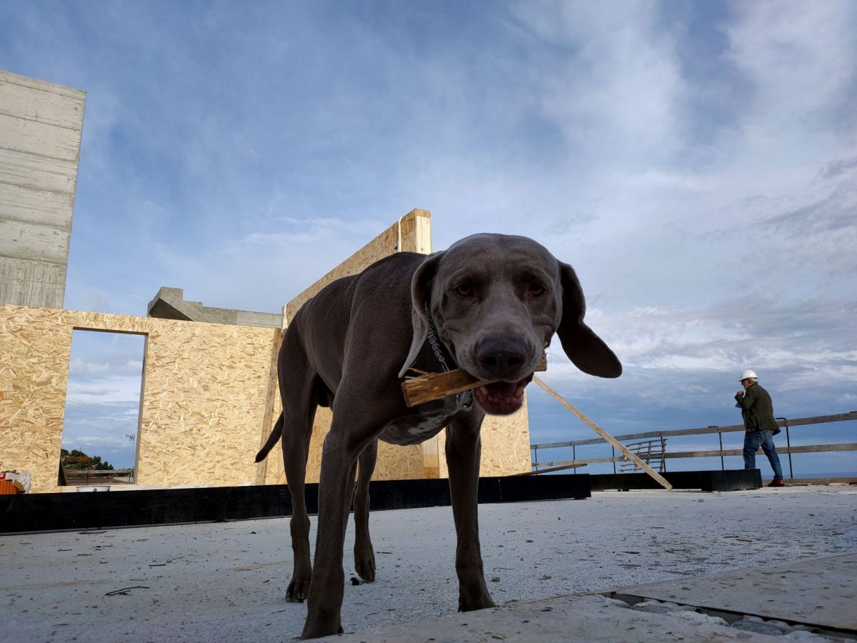 Case in legno Wood planner Villa vista mare