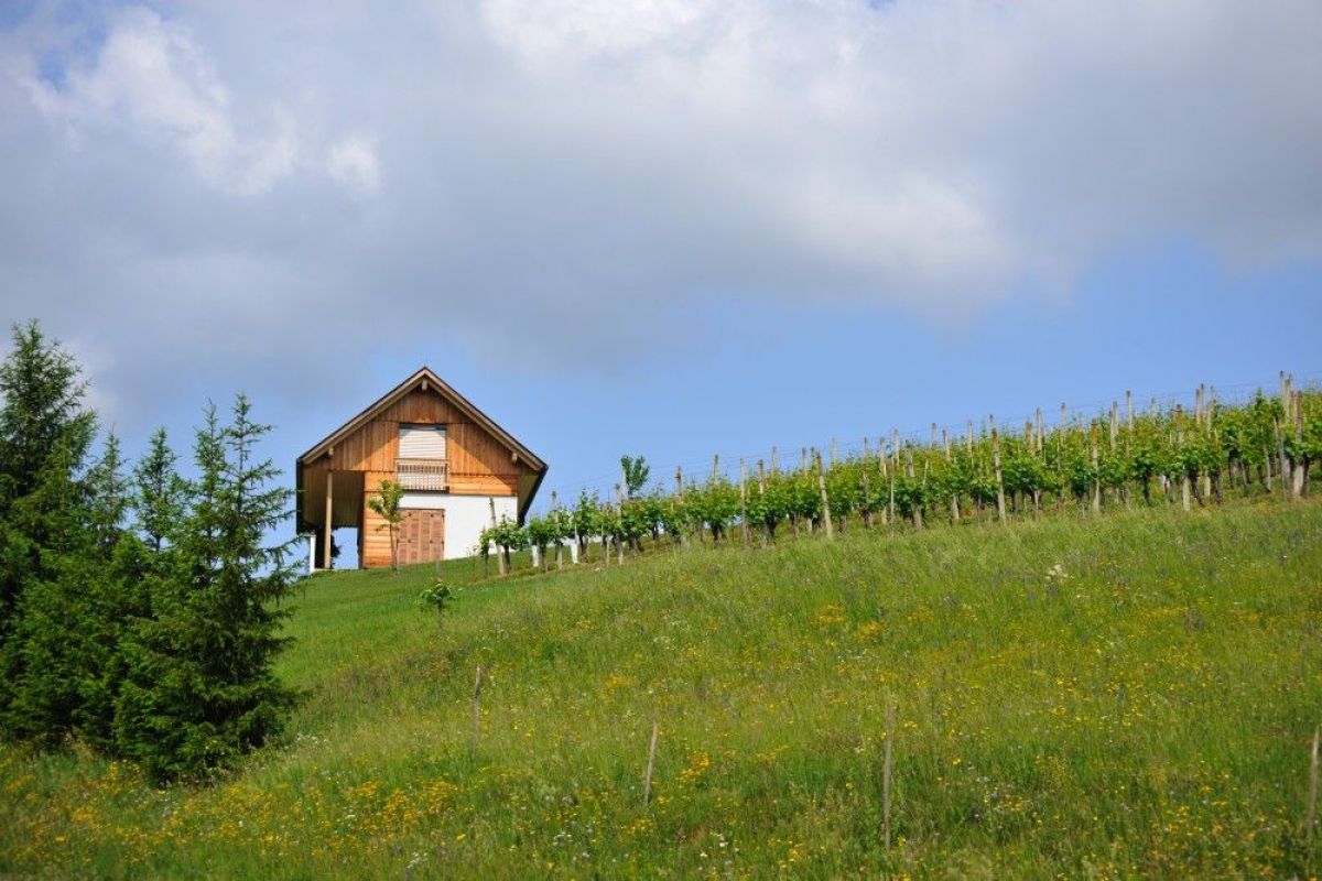 Case in legno RIKO-HISE srl - Arch. Daniele Bonzi CASA IN COLLINA 