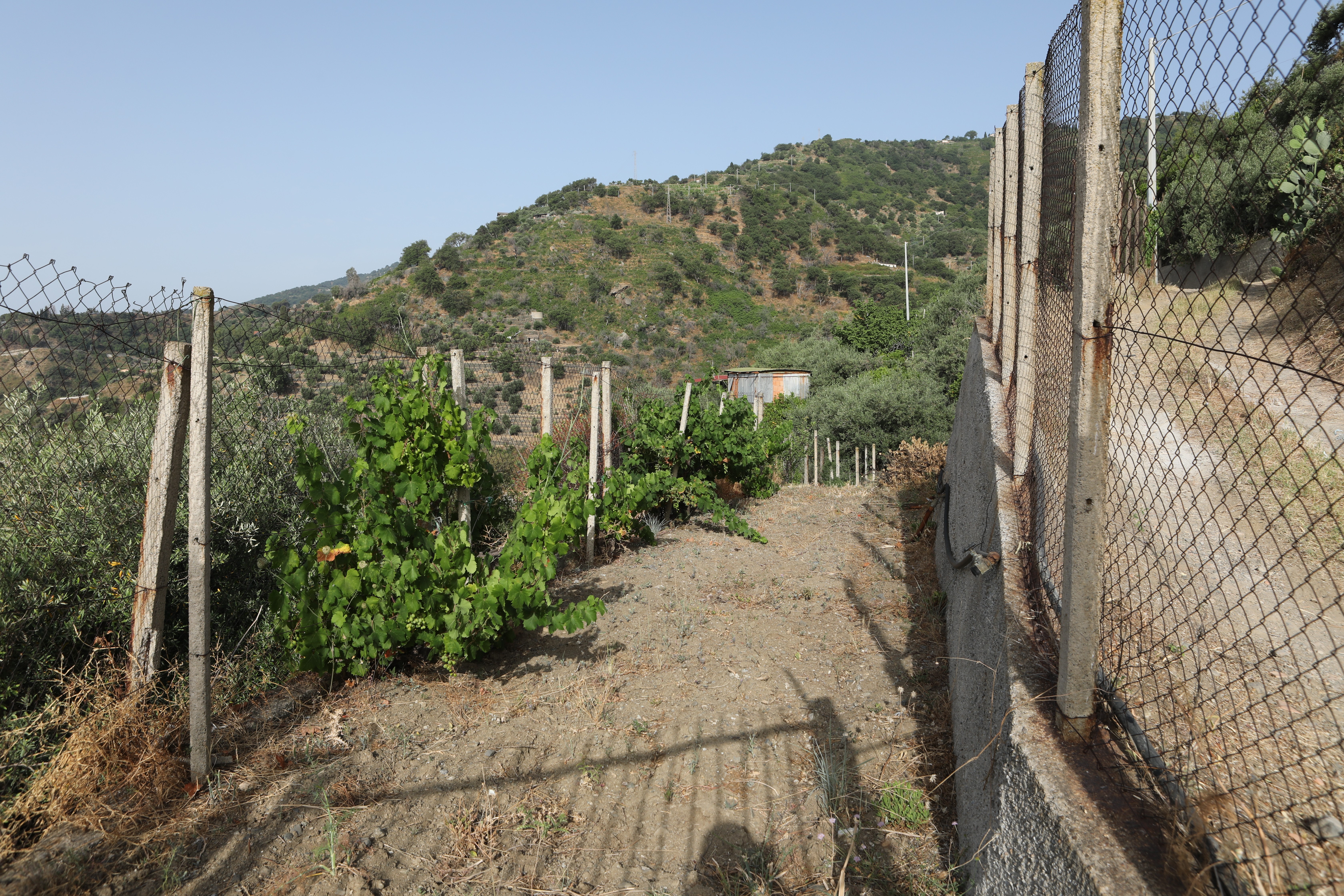 Vendita Terreno Agricolo Scaletta Zanclea