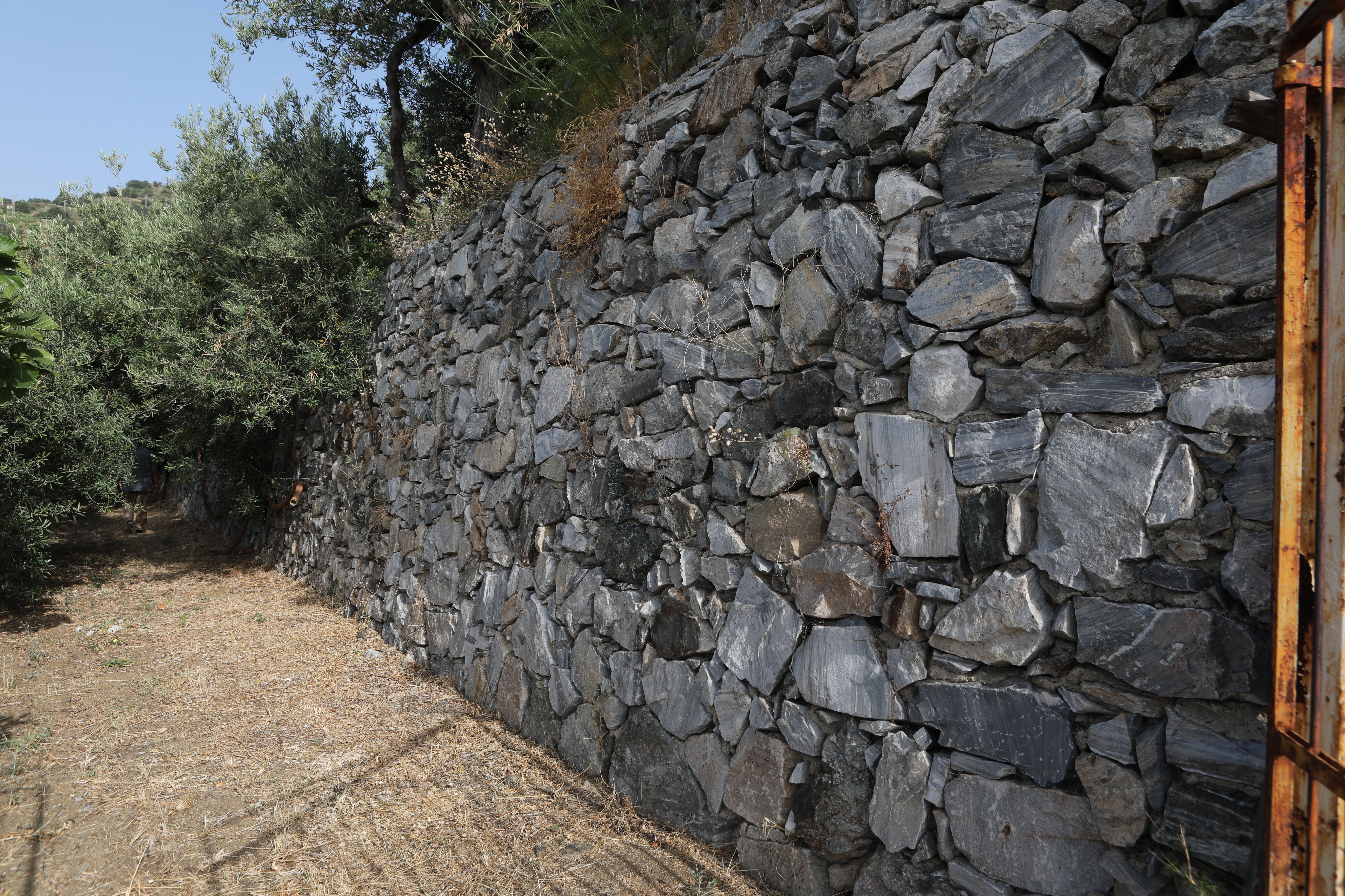 Vendita Terreno Agricolo Scaletta Zanclea